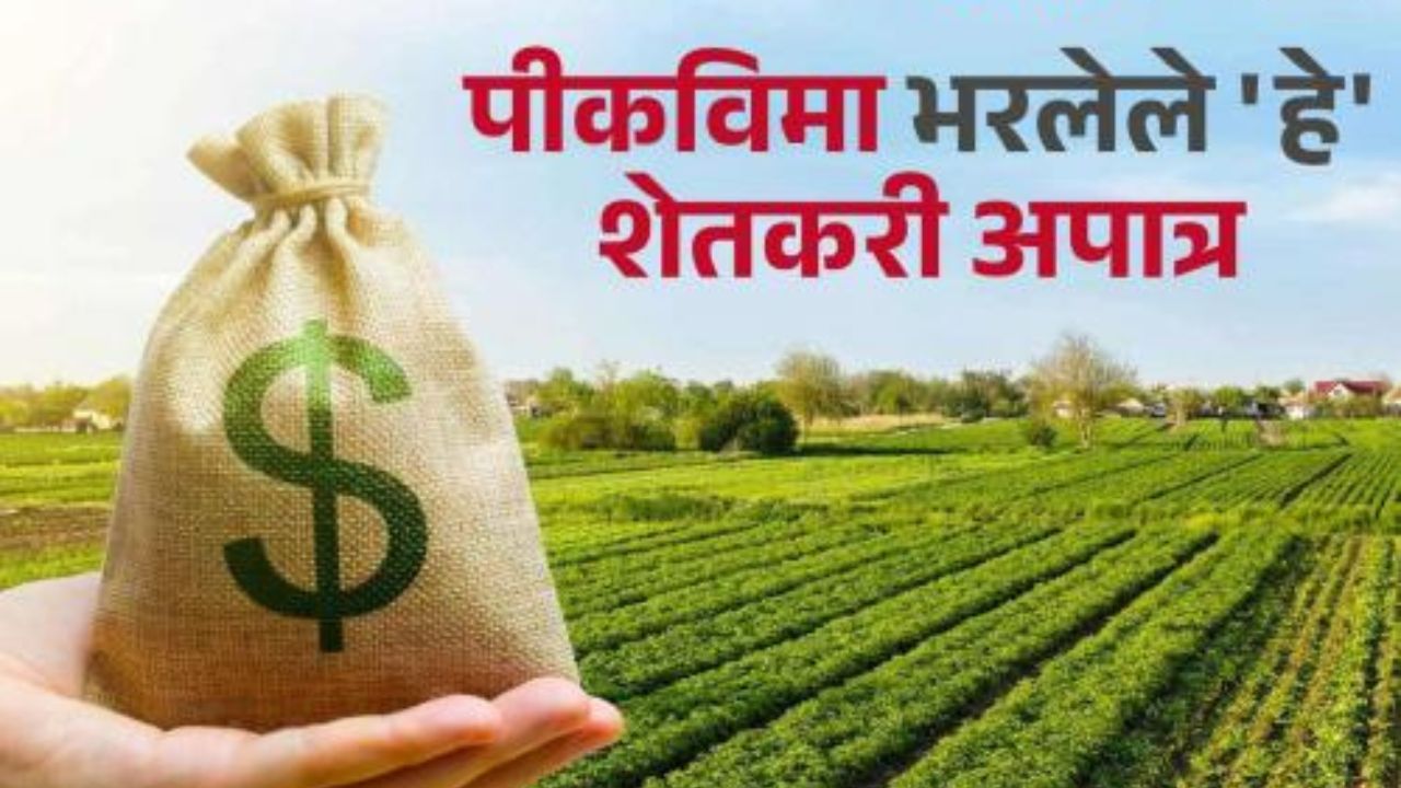 एका रुपया पीकविमा भरलेले हे शेतकरी अपात्र Crop insurance at one rupee