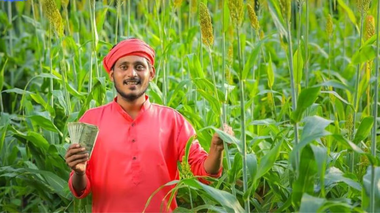 Crop Loan Subsidy : शेतकऱ्यांनी ३० जूनपूर्वी पीककर्ज नूतनीकरण केल्यास १०% वाढीव कर्ज व व्याज सवलत