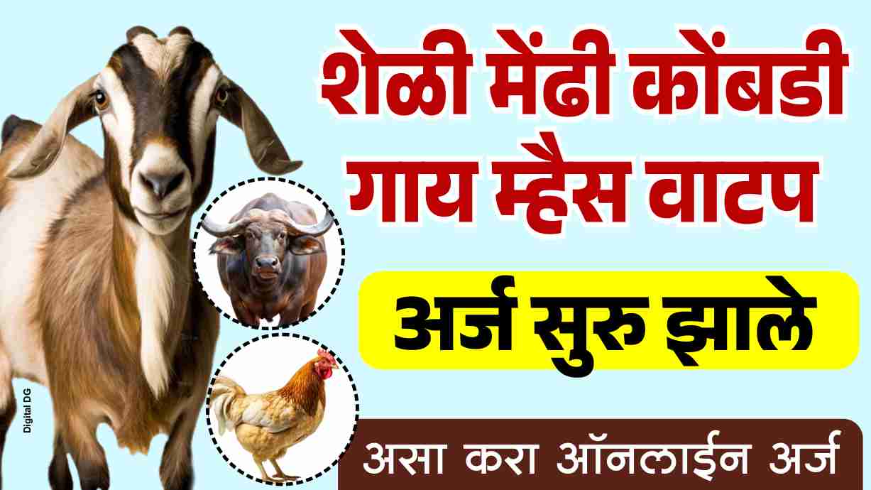 गाय, म्हैस, शेळ्या, मेंढ्या व कुक्कुटपालन अनुदानासाठी ऑनलाईन अर्ज सुरू Goat Distribution Scheme