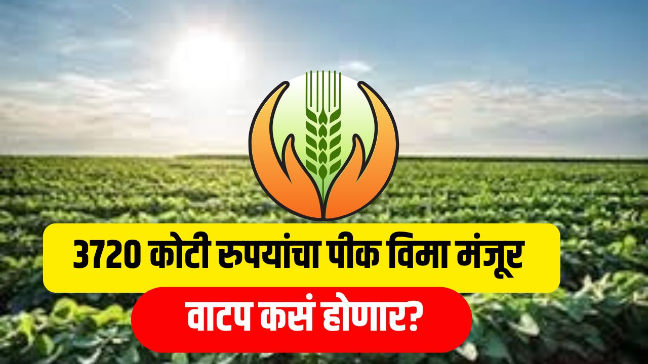 शेतकऱ्यांना दिलासा! 3720 कोटी रुपयांचा पीक विमा मंजूर, वाटप कसं होणार?