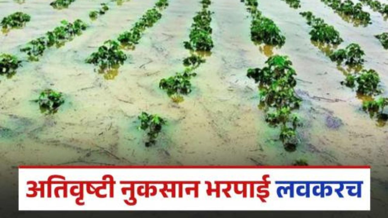 अतिवृष्टी पूरपरिस्थितीमुळे झालेल्या नुकसान भरपाईसाठी शेतकऱ्यांना मदत; शासन निर्णय आला Nuksan Bharpai 2025