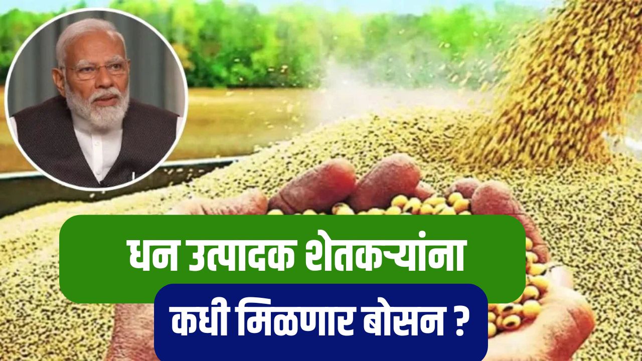 धन उत्पादक शेतकऱ्यांना अजून अनुदान नाहीच, कधी मिळणार बोसन ? Money producing bonus